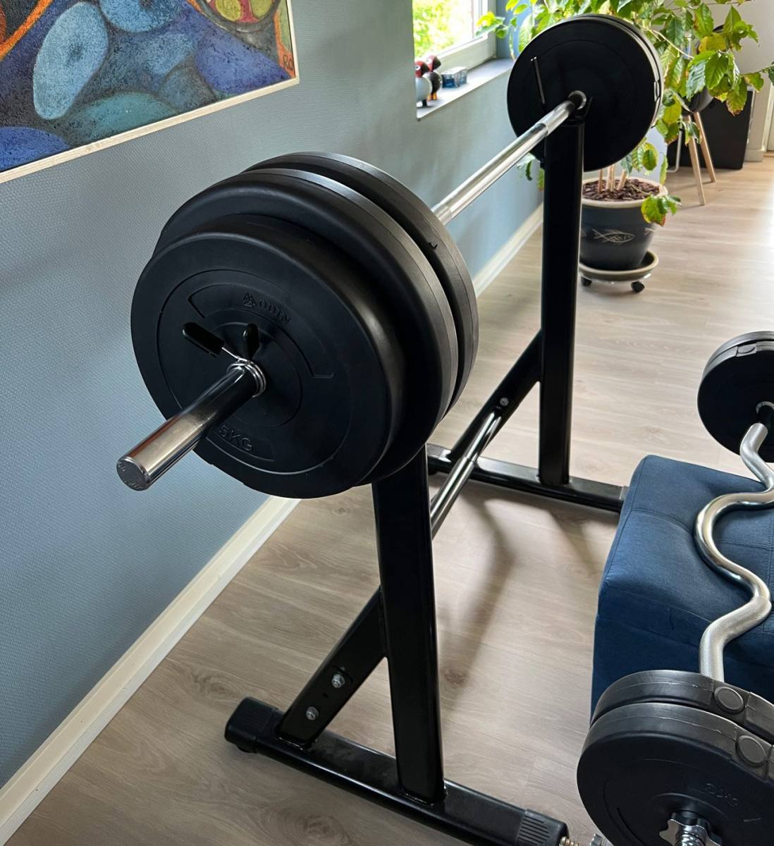 Odin Basic Vægtskiver 10kg / 30mm (1 stk), billede 5 hos ActiveNordic