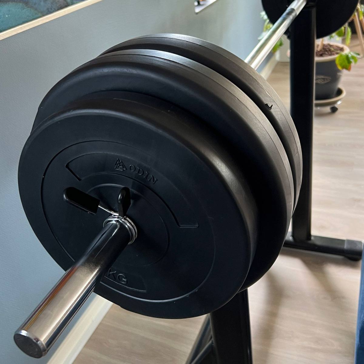 Odin Vægtstang 167 cm, 30mm, billede 3 hos ActiveNordic