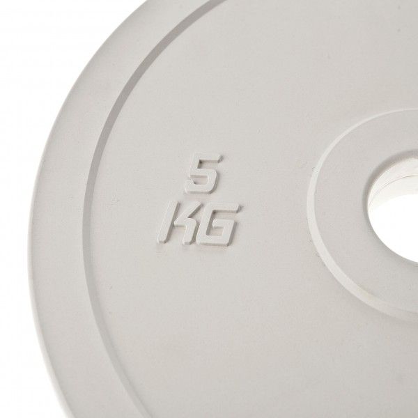 Nordic Fighter Fractional Plates Vægtskiver 5kg, billede 2 hos ActiveNordic