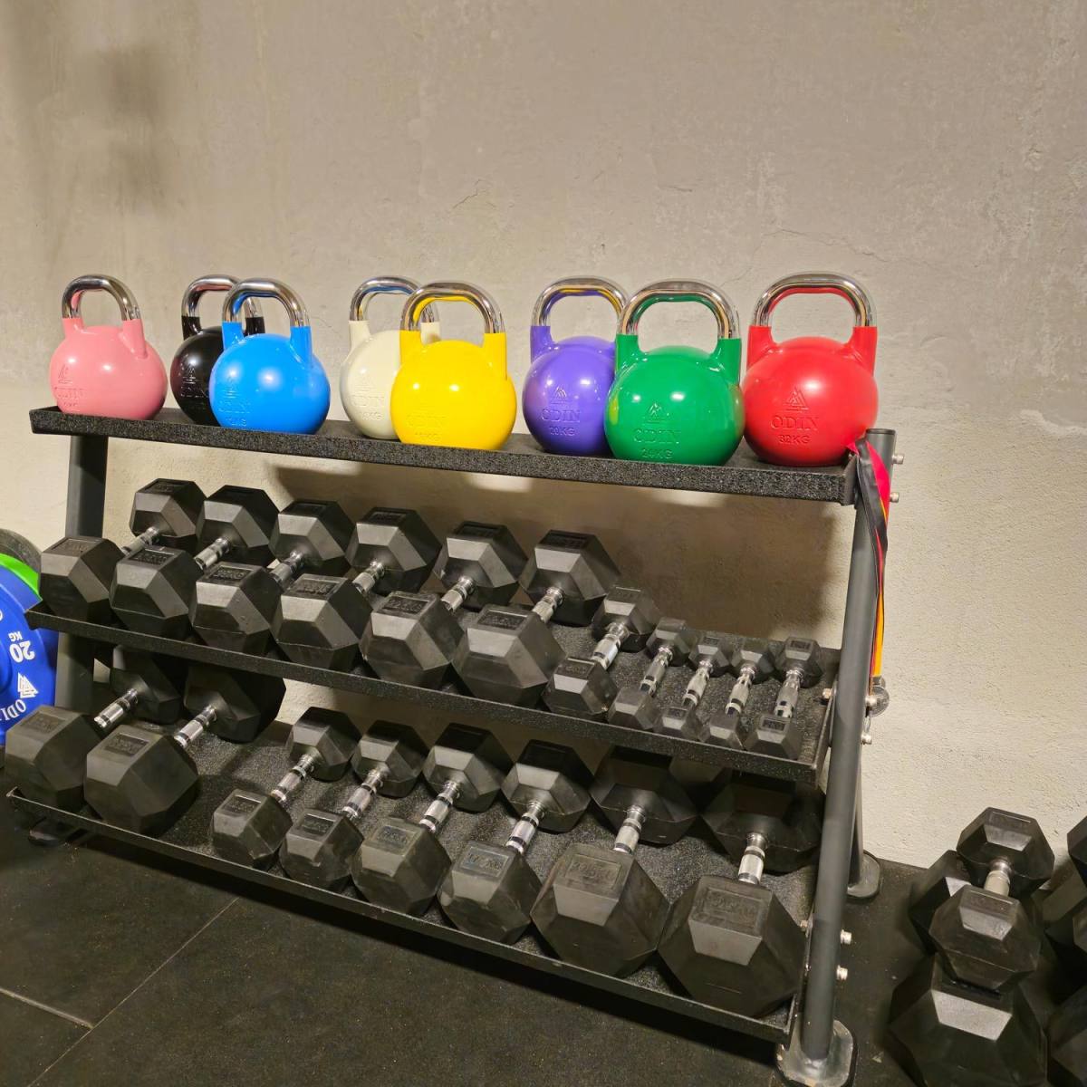 Odin Competition Kettlebell 14kg, billede 4 hos ActiveNordic