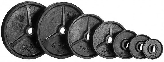 Nordic Fighter Jern Vægtskiver 25kg / 50mm (1 stk), billede 2 hos ActiveNordic